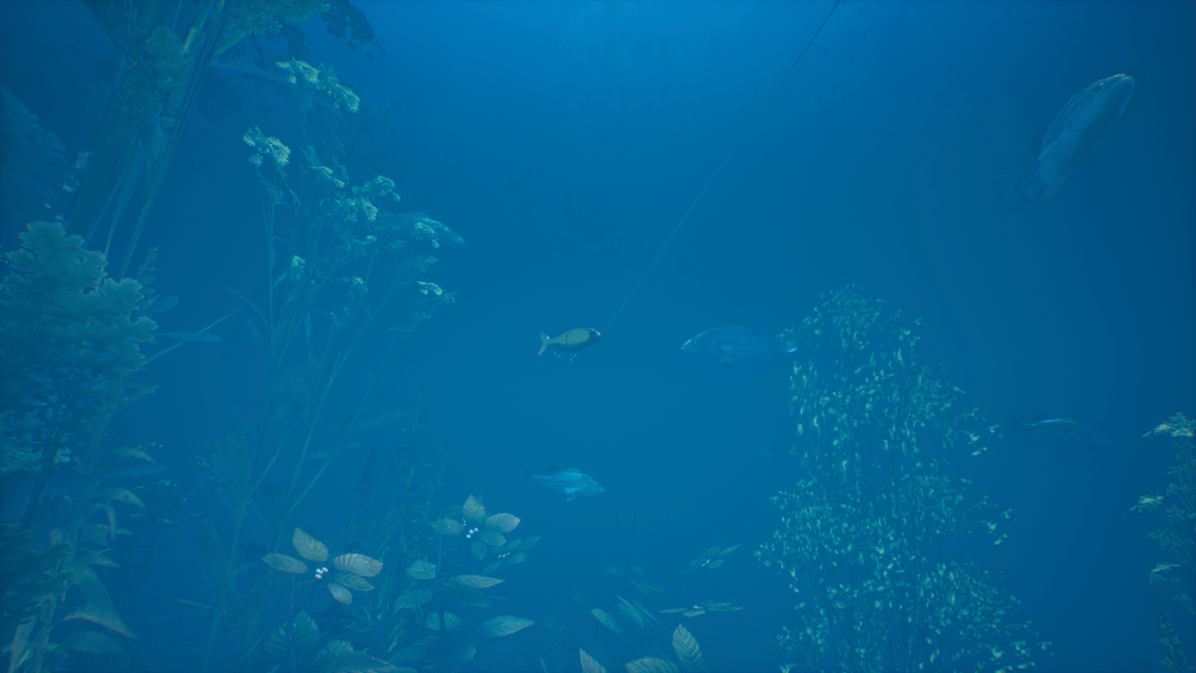 Bassmaster® Fishing 2022: Lake Hartwell screenshot 2