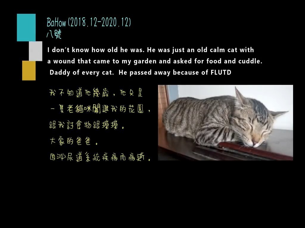Tigey's Gift screenshot 14