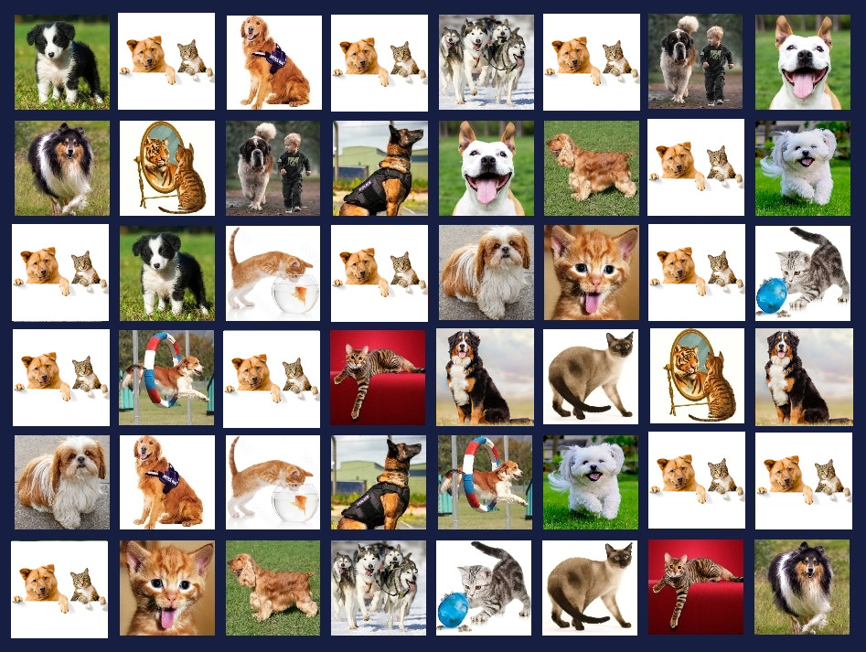 Memory Lost-Pairs - Animals screenshot 3