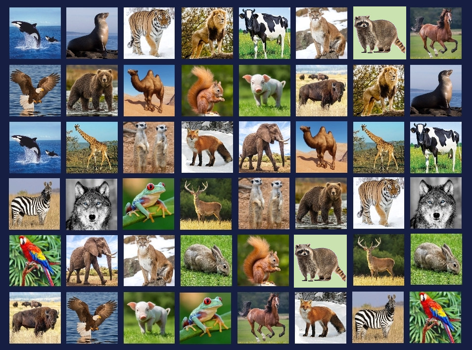 Memory Lost-Pairs - Animals screenshot 2