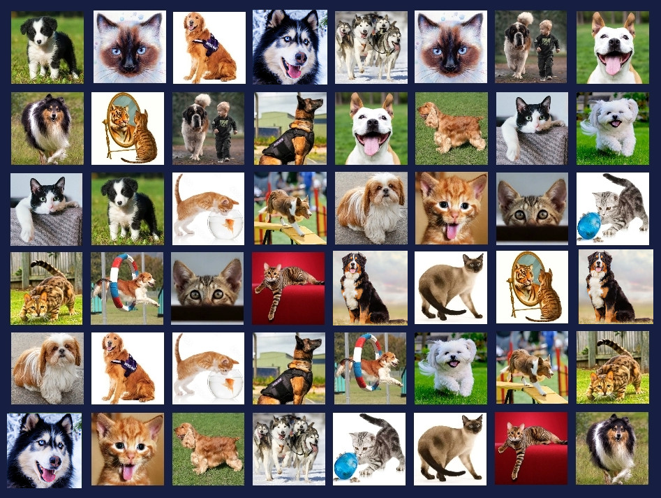 Memory Lost-Pairs - Animals screenshot 4