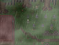 Screenshot #1