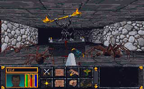 The Elder Scrolls: Arena screenshot