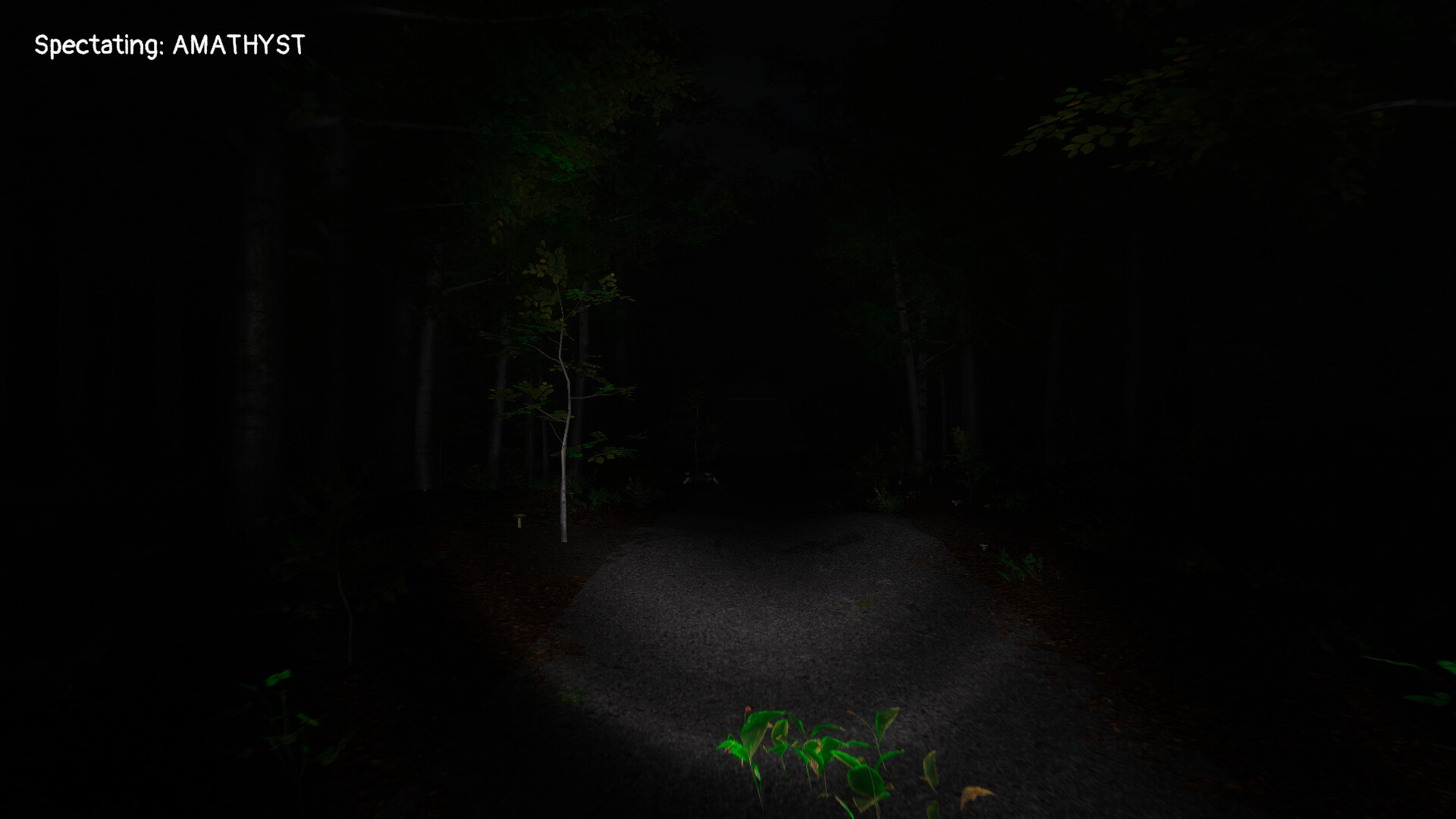 Scopaesthesia screenshot 4