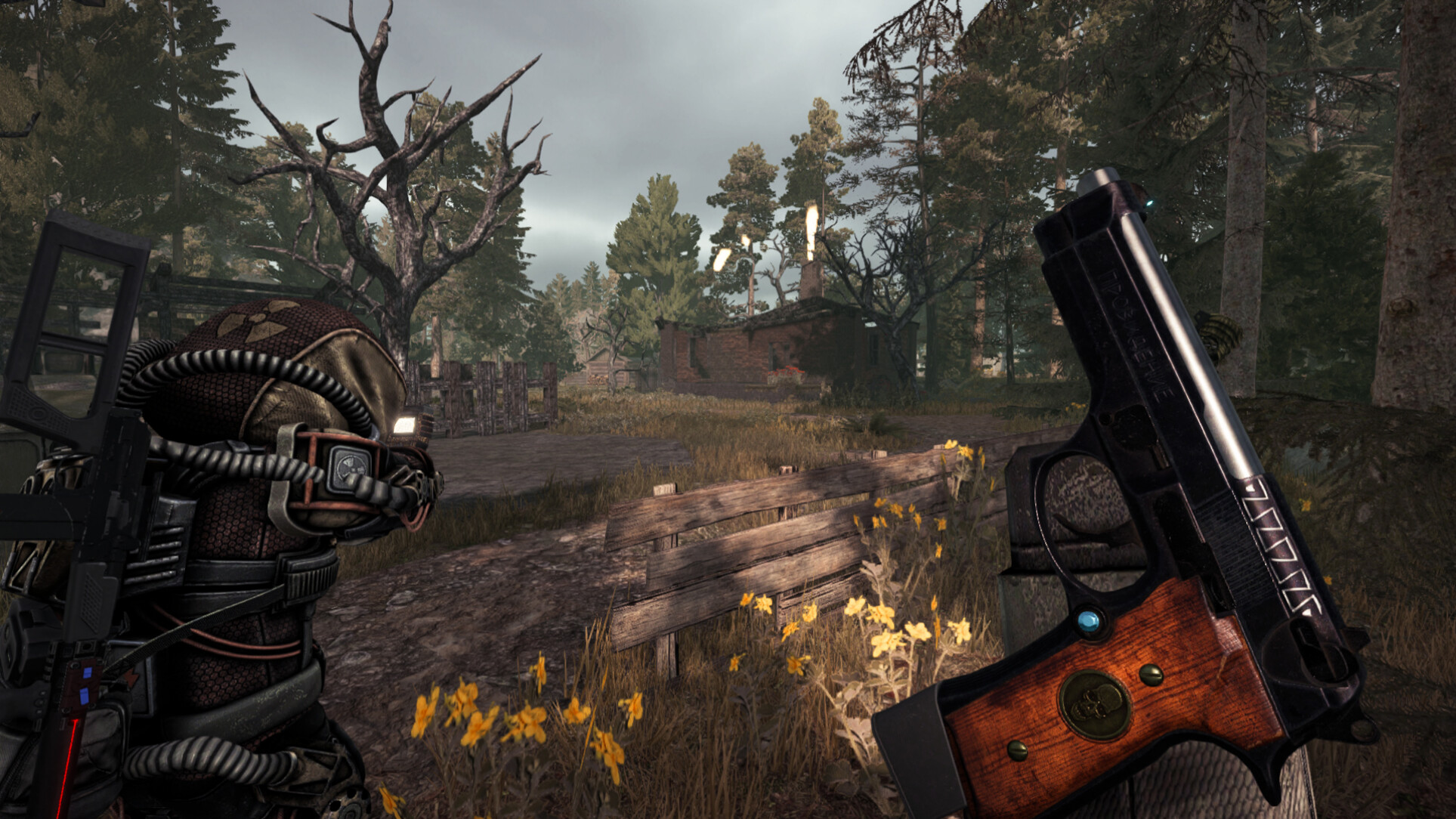 STALZONE screenshot 1