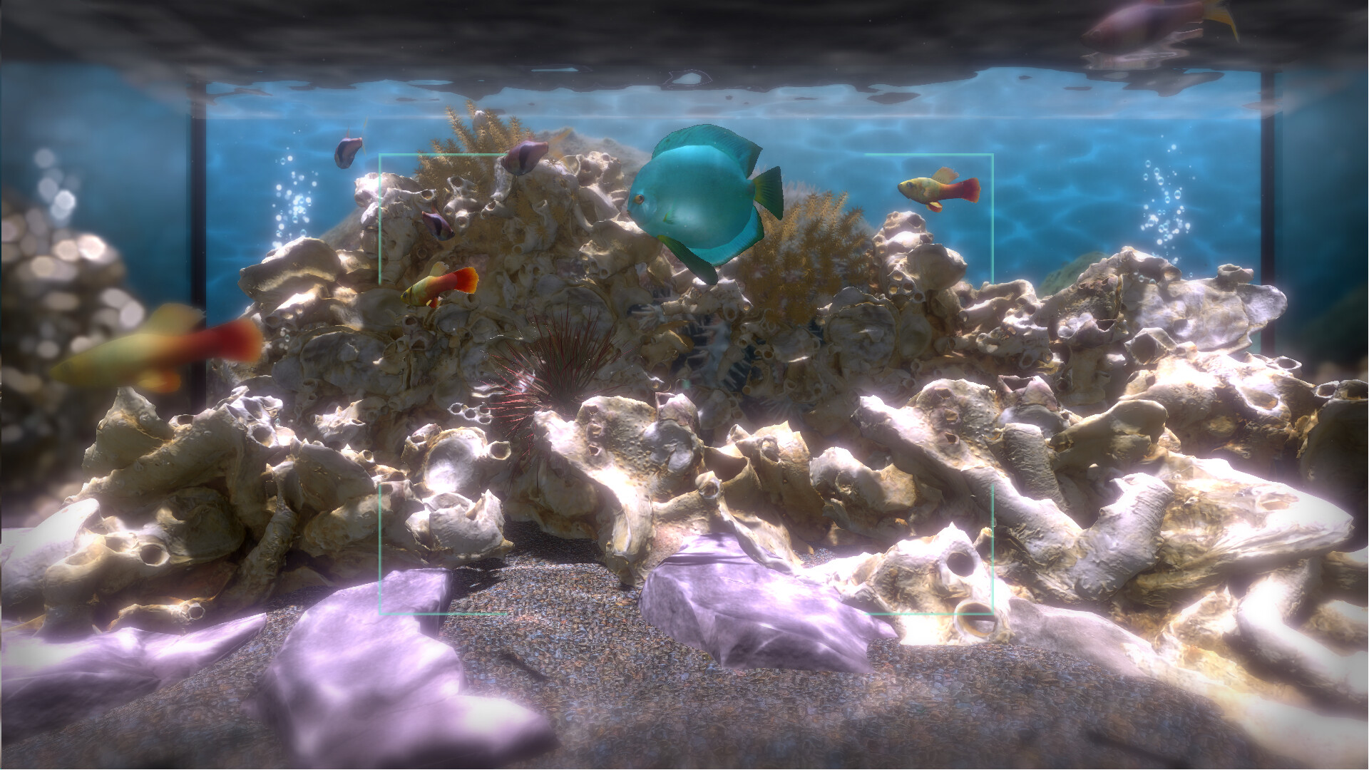 Snapshot Aquarium screenshot 7