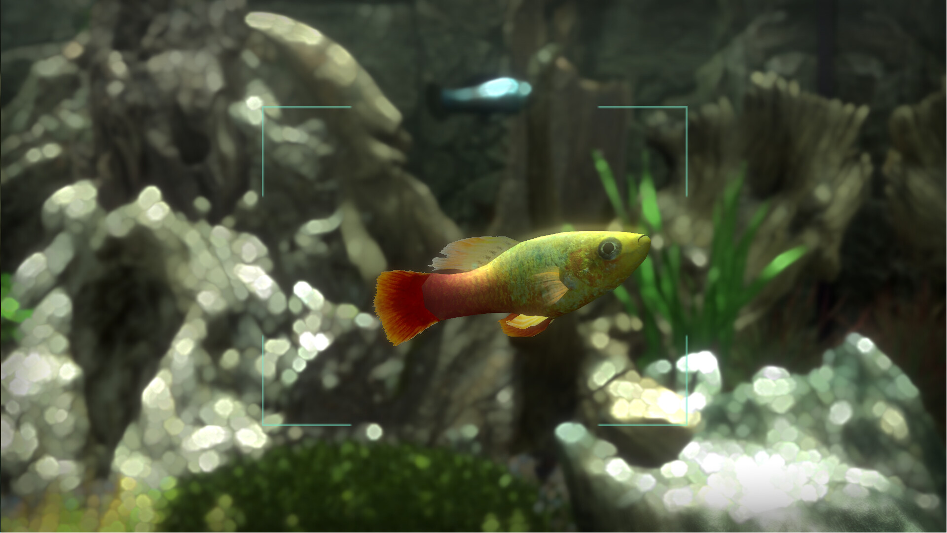 Snapshot Aquarium screenshot 8