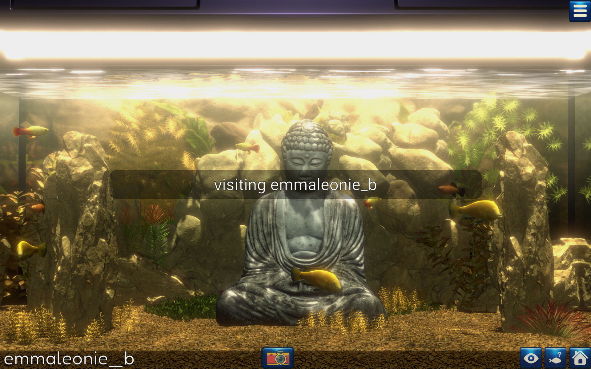 Snapshot Aquarium screenshot 11