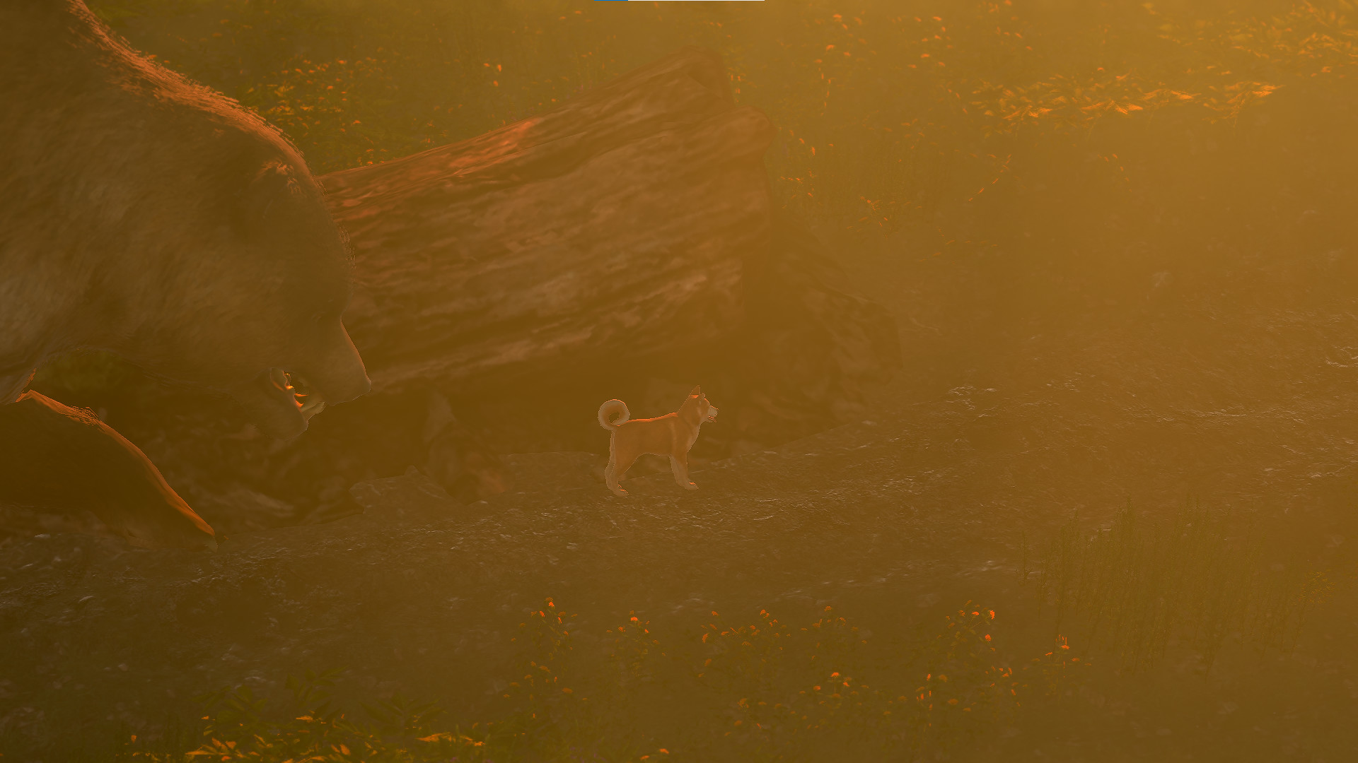NAHKA screenshot 8