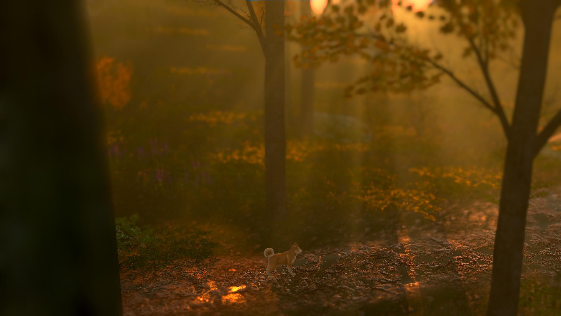 NAHKA screenshot 7