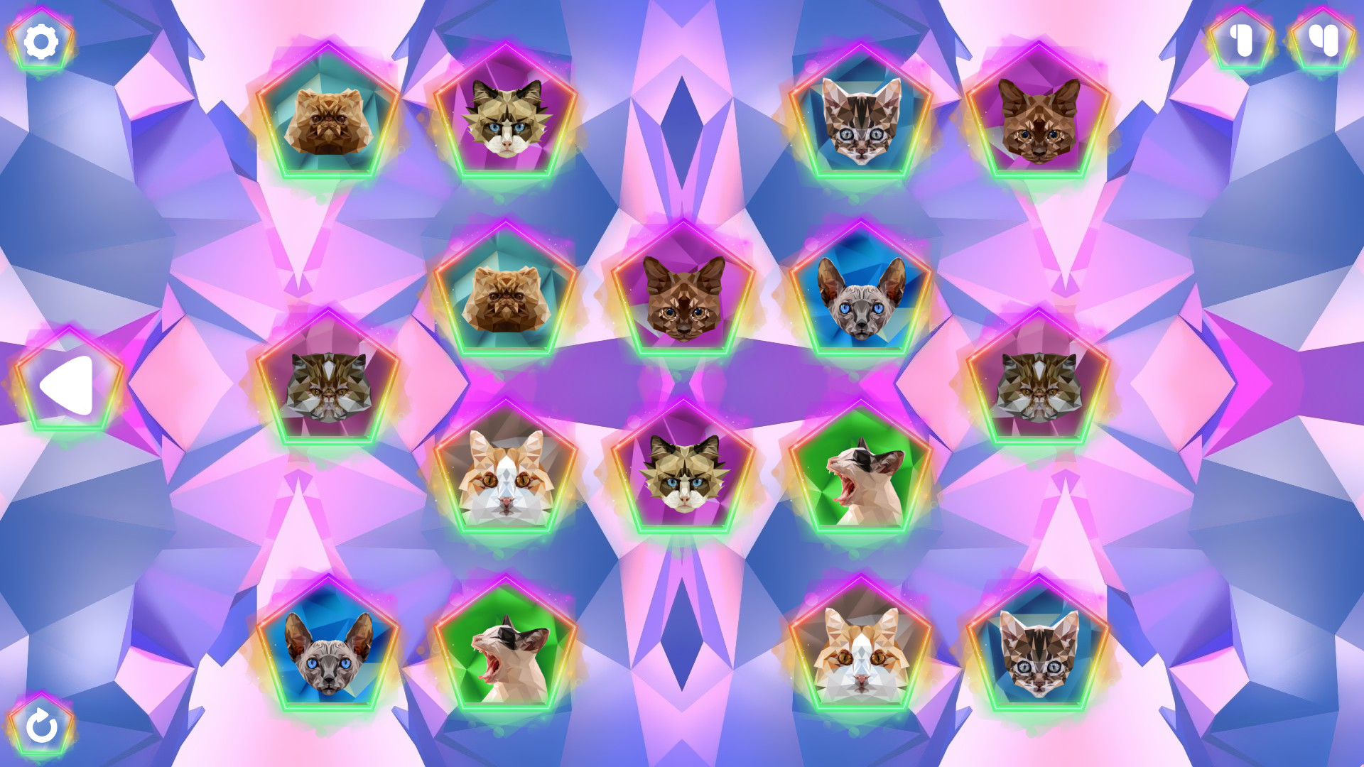 Poly Memory: Cats screenshot 4