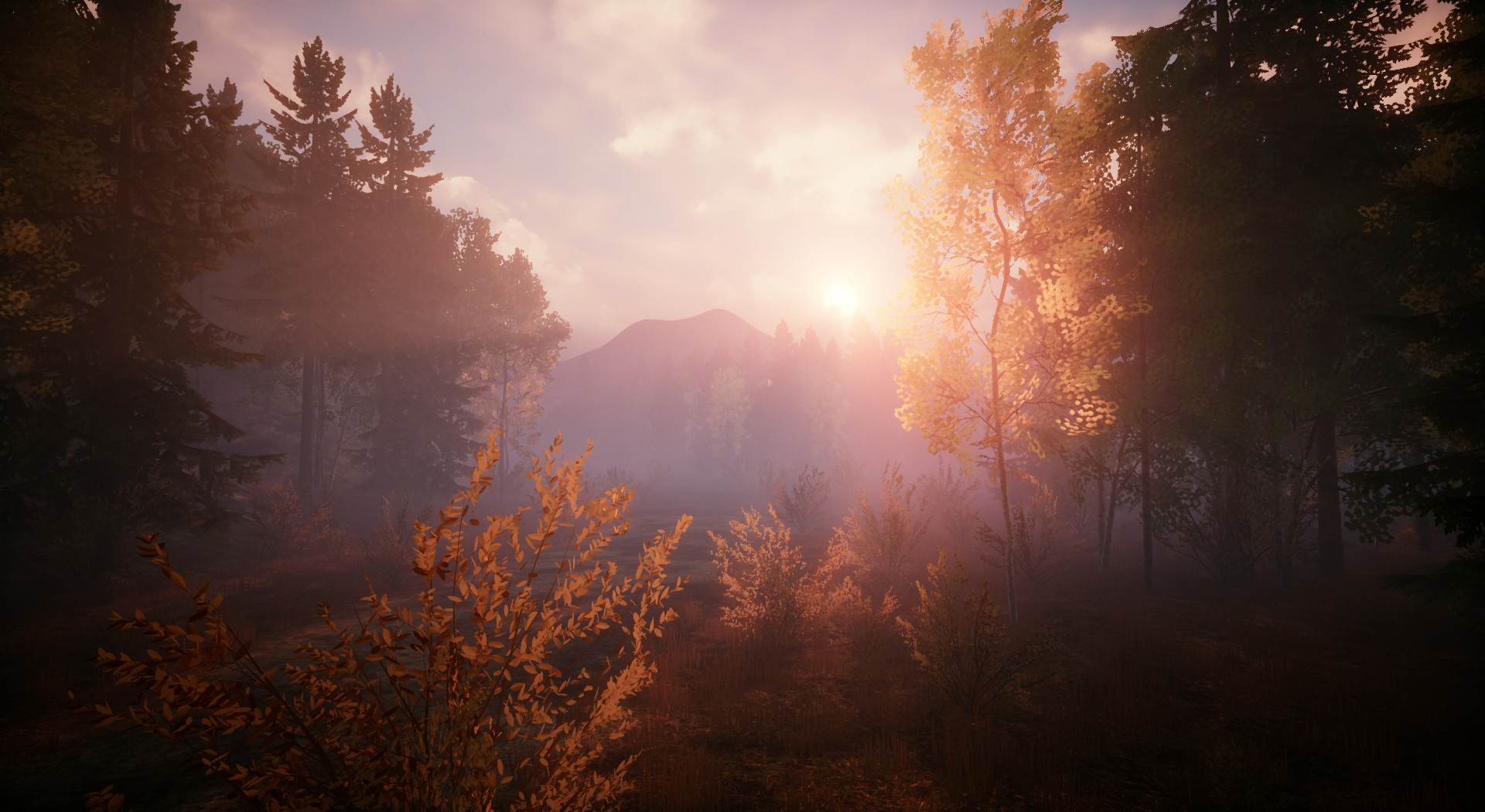 化学家：感染区域/CHEMISTS: Area of infection 截图 12