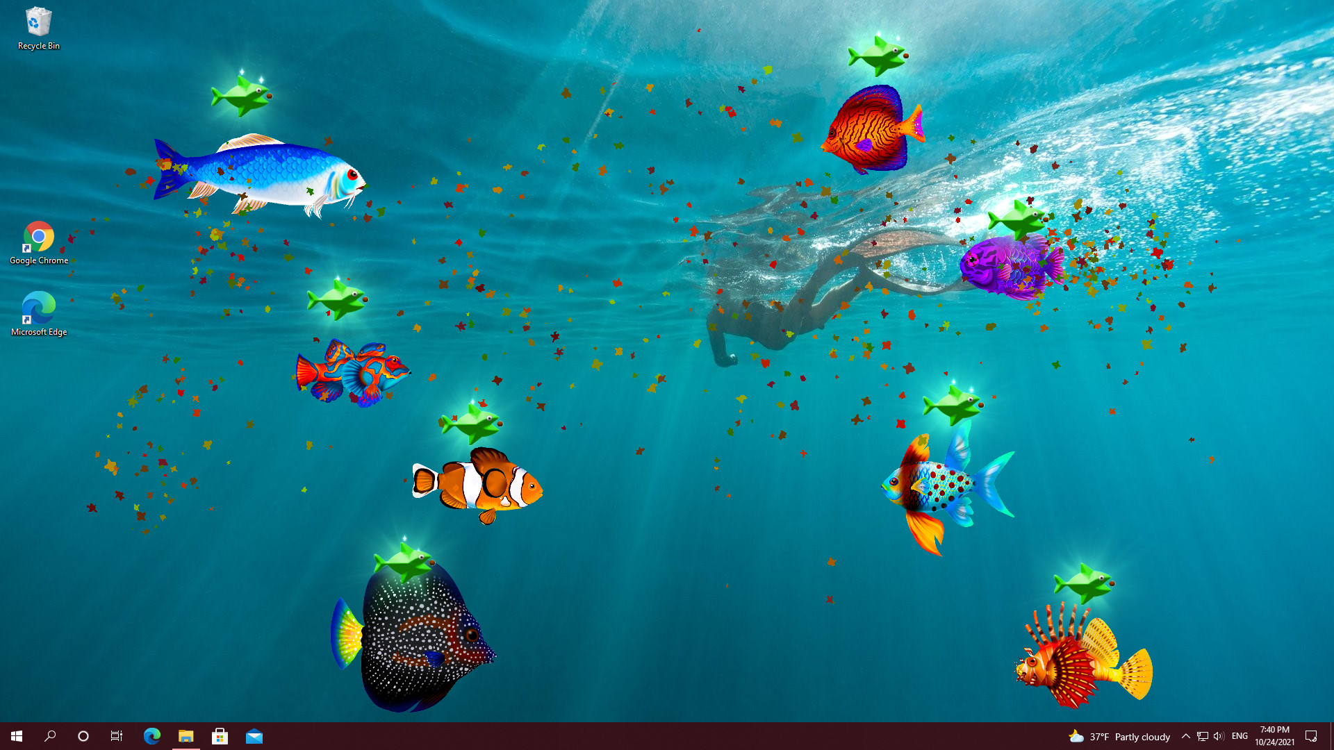 Virtual Aquarium - DLC Pack 2 screenshot 1