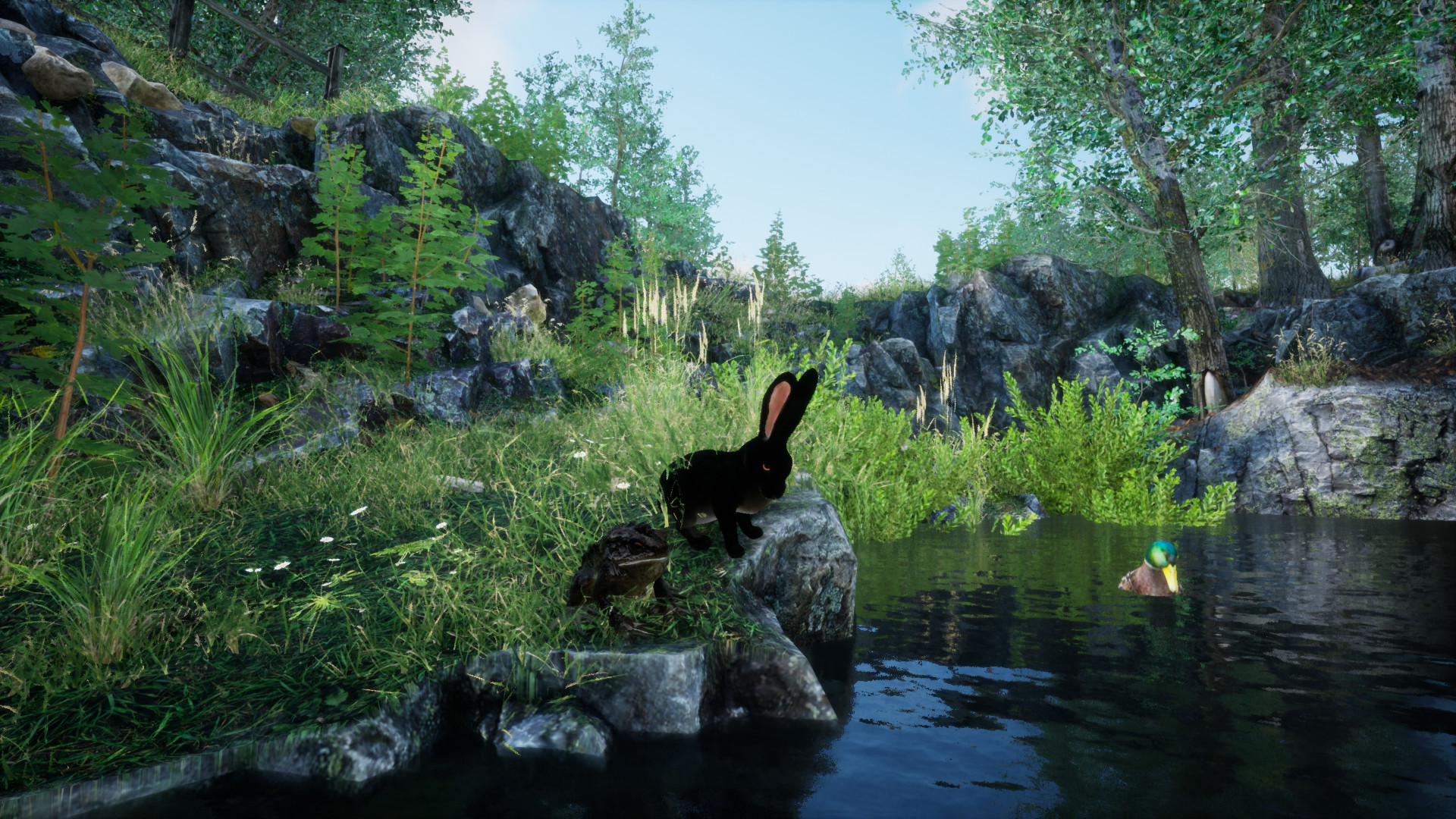 Rabbit Meadow screenshot 2