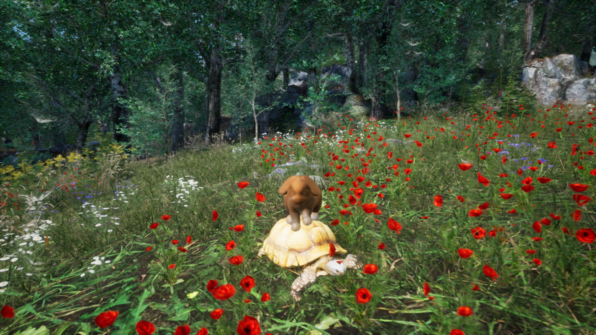 Rabbit Meadow screenshot 3