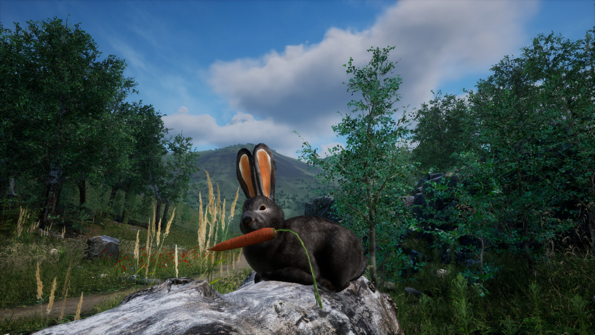 Rabbit Meadow screenshot 6