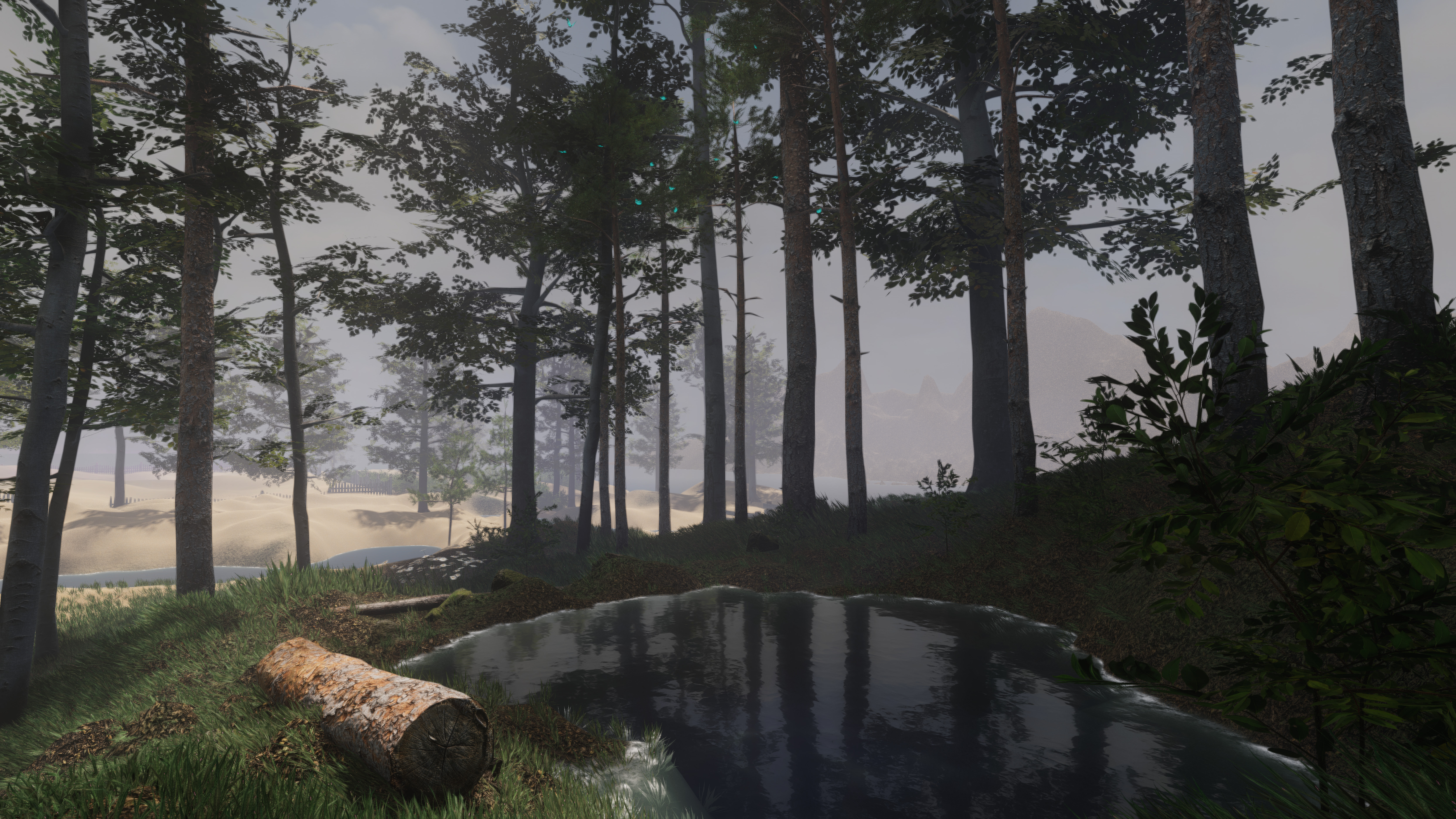 Broken screenshot 3