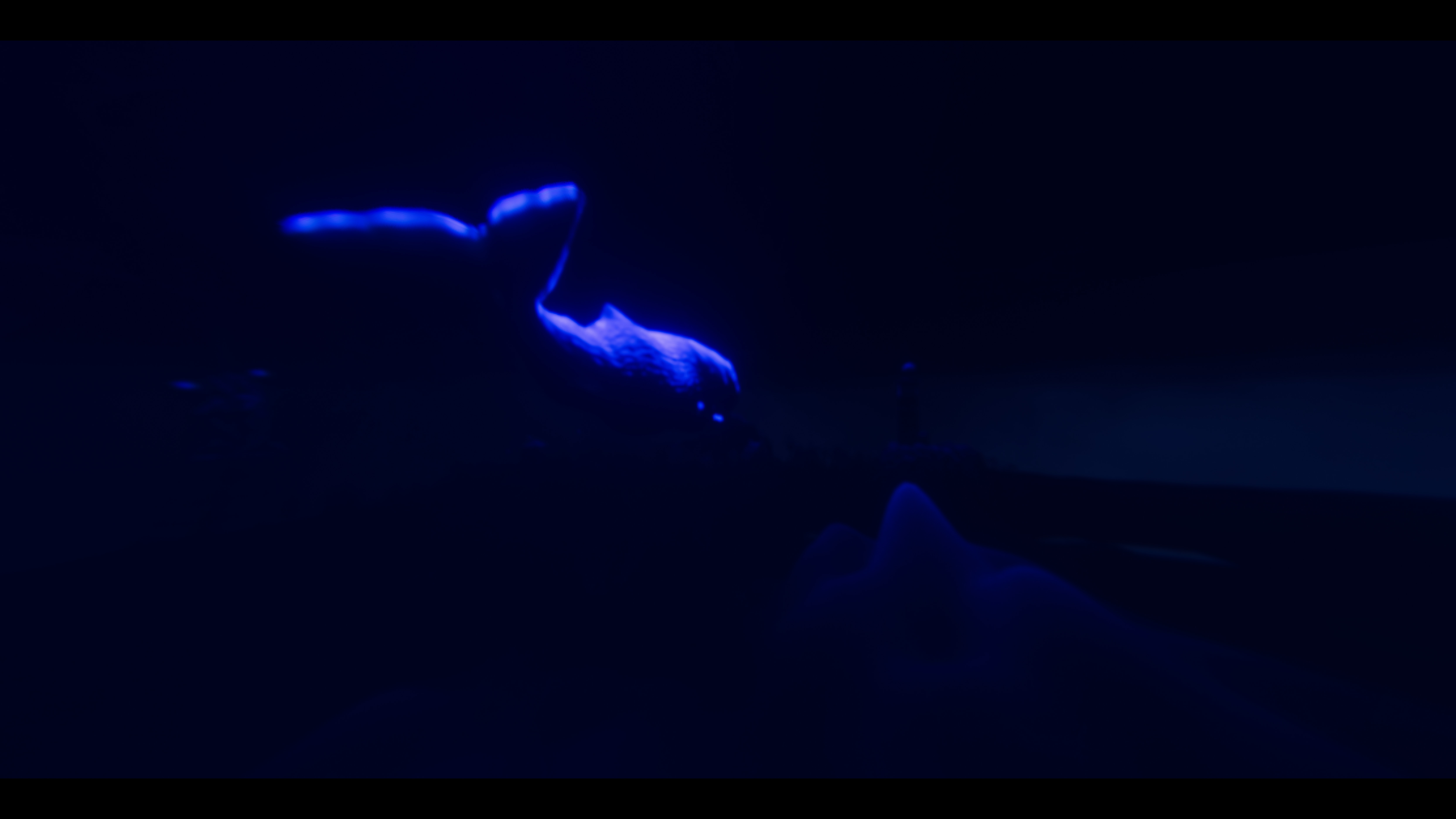 Broken screenshot 7
