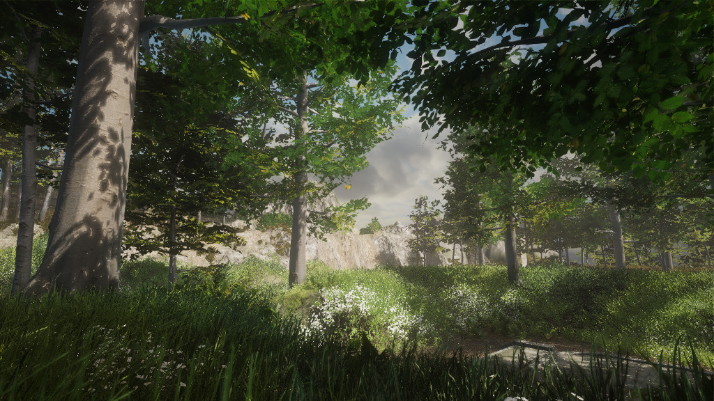 Broken screenshot 12