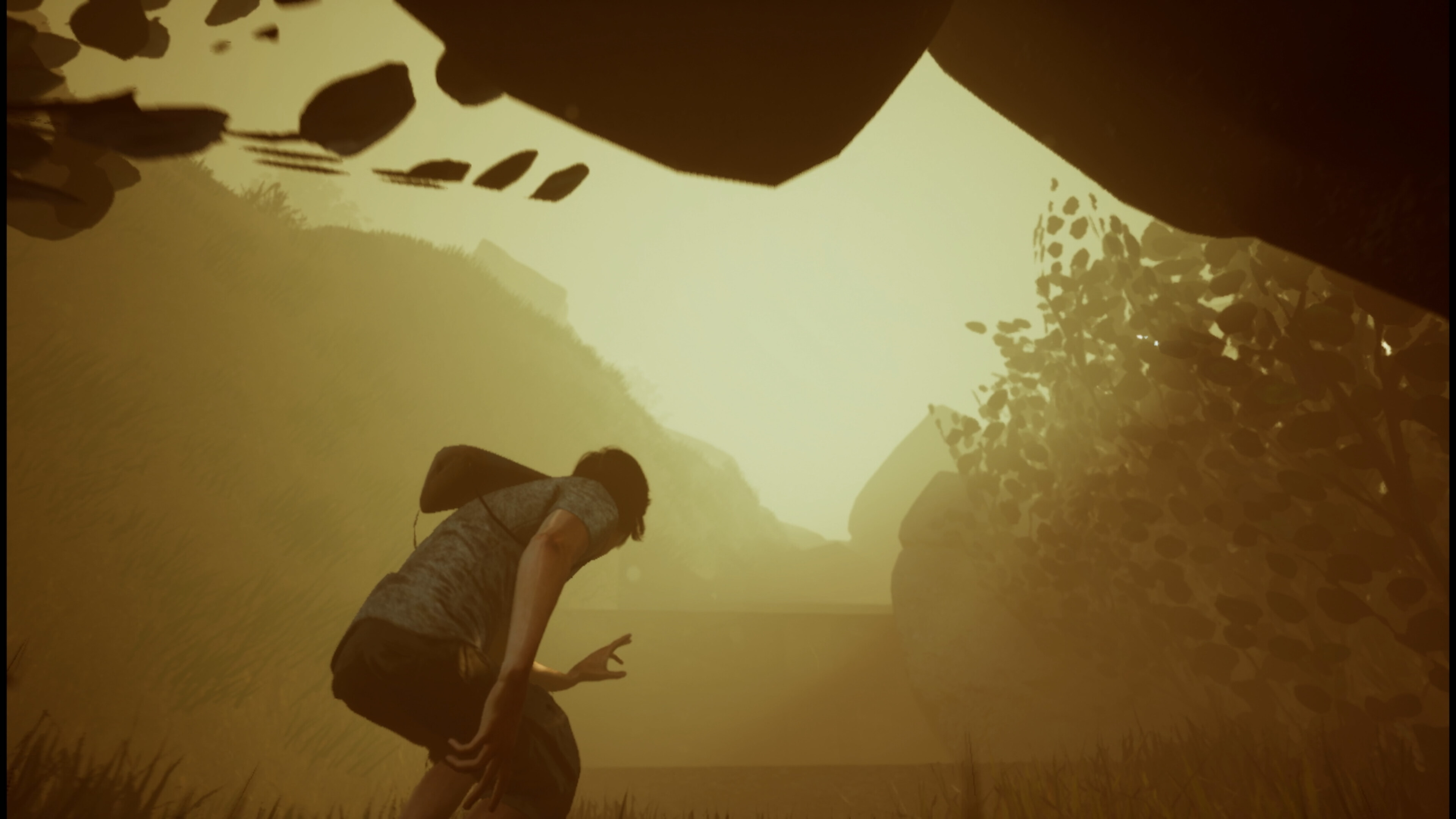 THE ECDYSIS screenshot 11