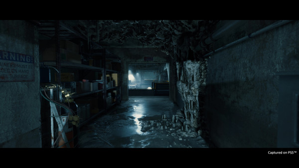 图片[17]|74.3GB|死亡搁浅|DEATH STRANDING DIRECTOR’S CUT|官方中文|v1.004|Build.13300582|压缩包：74.22GB|GameStellaris | 游戏群星