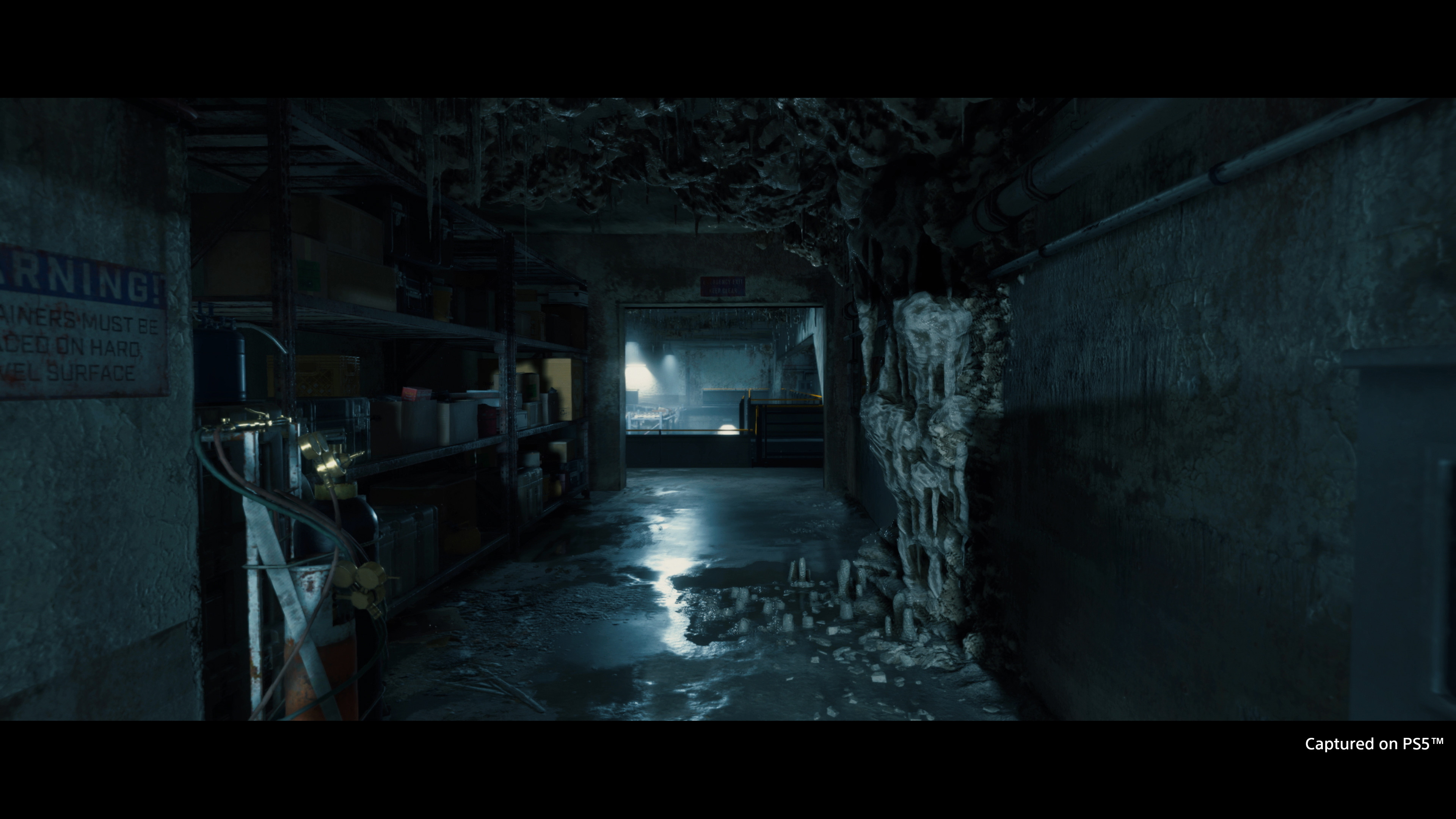 DEATH STRANDING DIRECTOR'S CUT screenshot 17