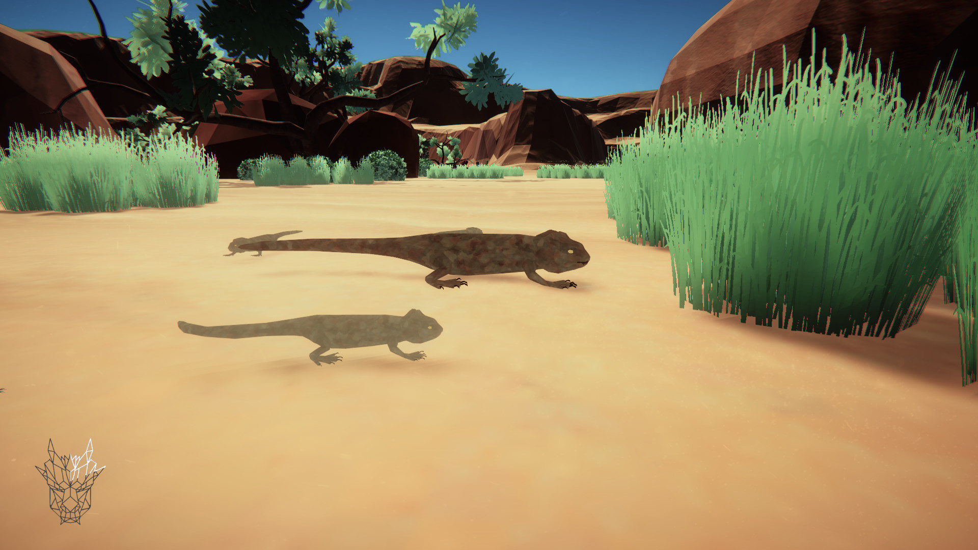 Canyon screenshot 5