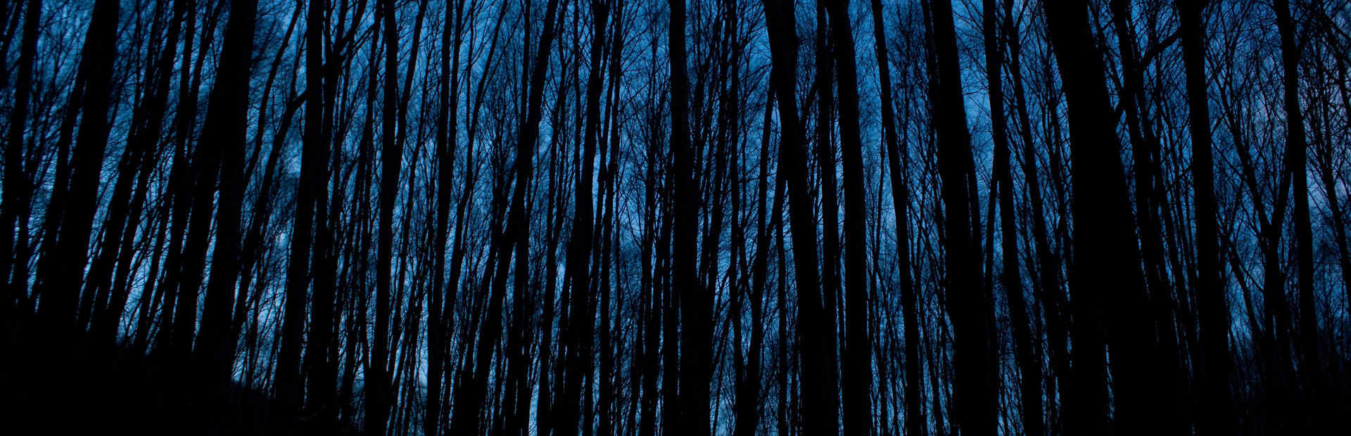 Dark Haunting