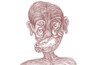Screenshot 23