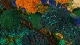 A screenshot of Dawn Apart