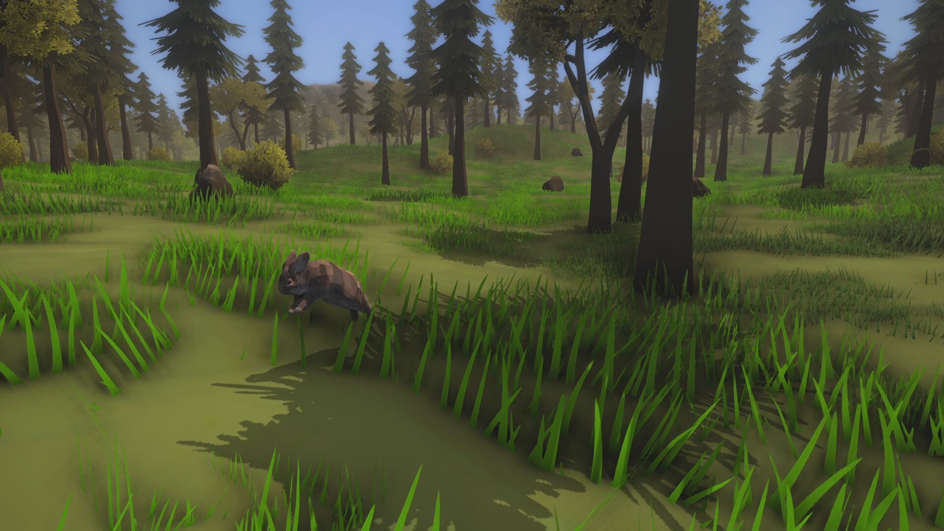 Wild Frontier screenshot 13