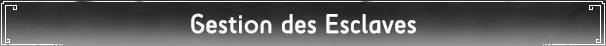 Gestion des Esclaves