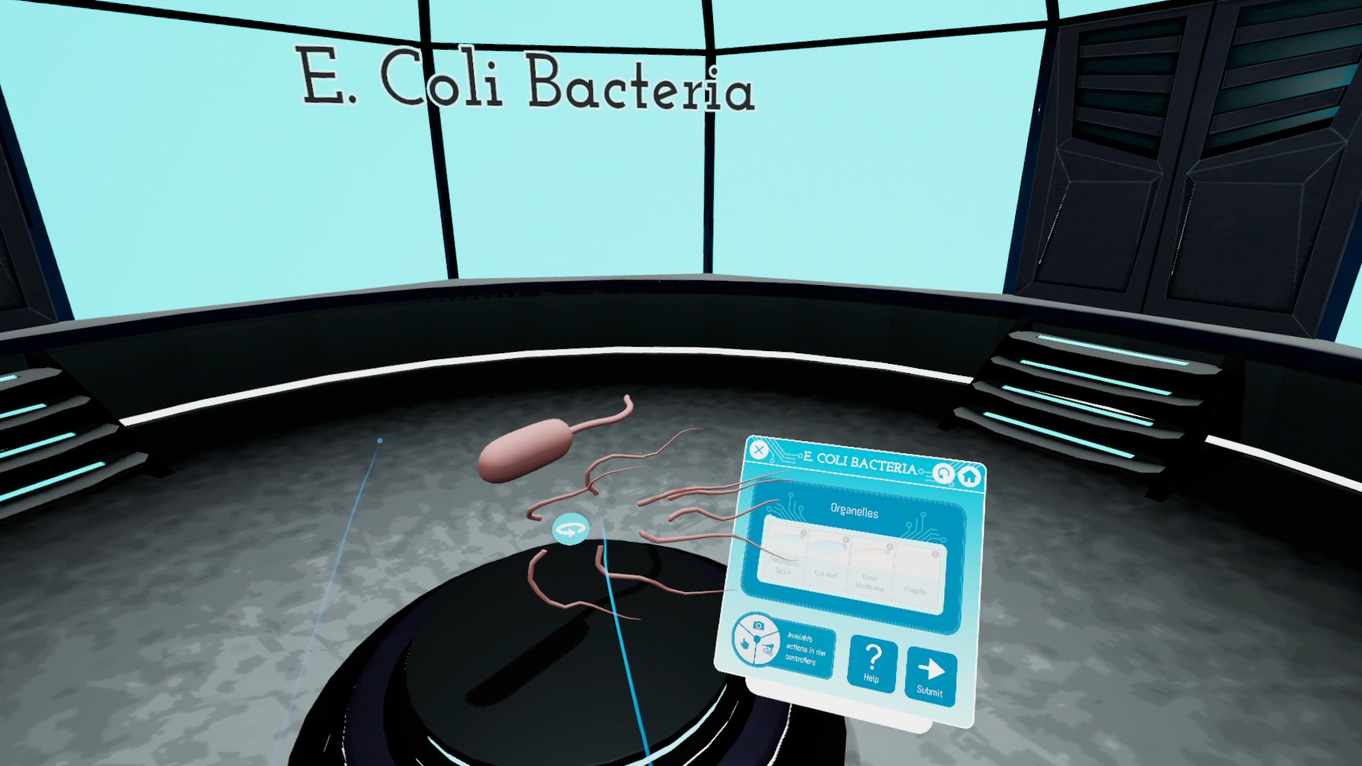 Looking Inside Cells screenshot 8