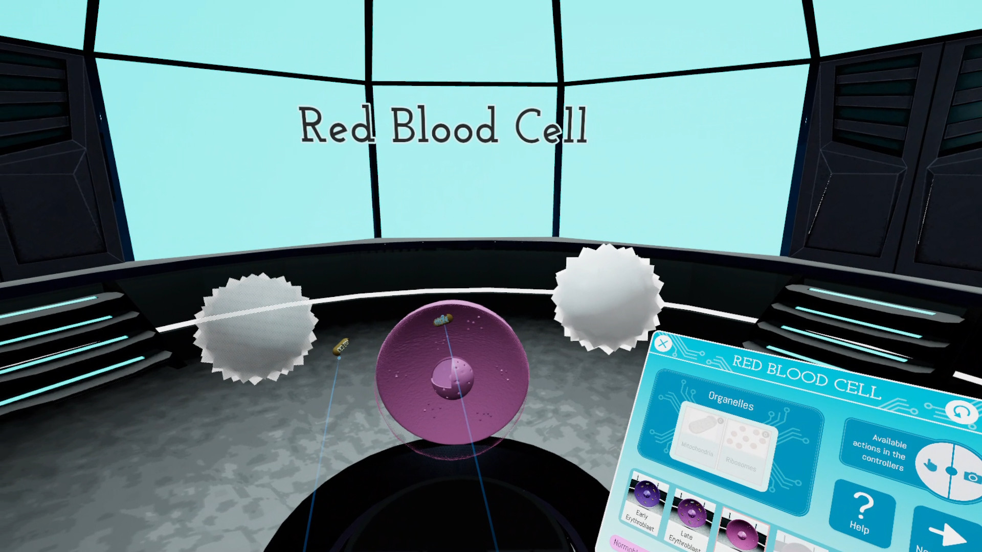 Looking Inside Cells screenshot 1