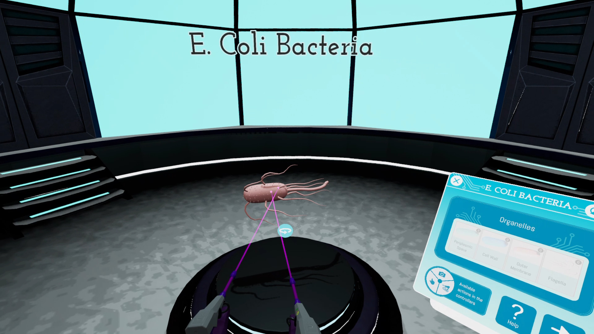 Looking Inside Cells screenshot 3