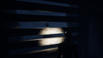 Screenshot #12