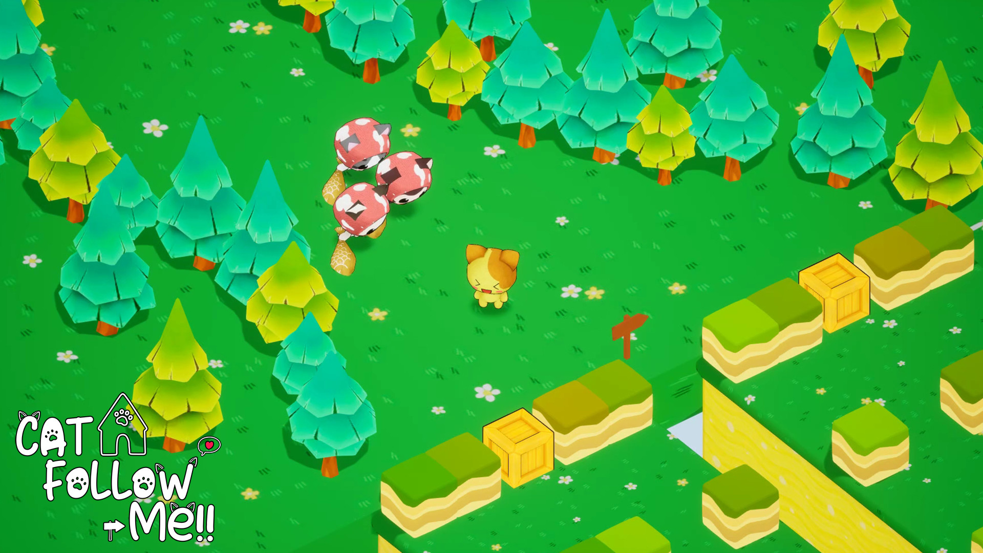 Cat Follow Me screenshot 7