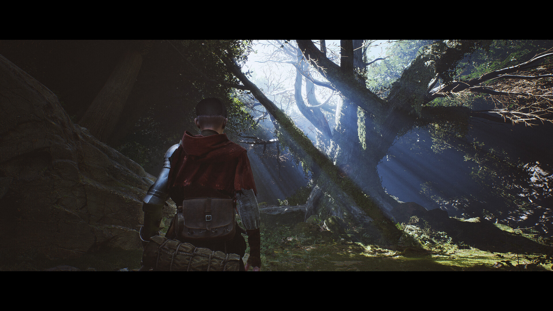 《1348：圣誓/1348 Ex Voto》