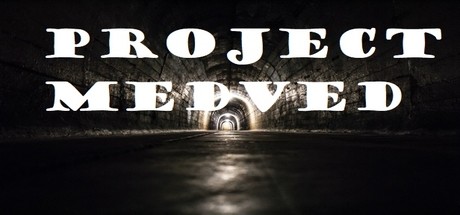 Project Medved — Steam header
