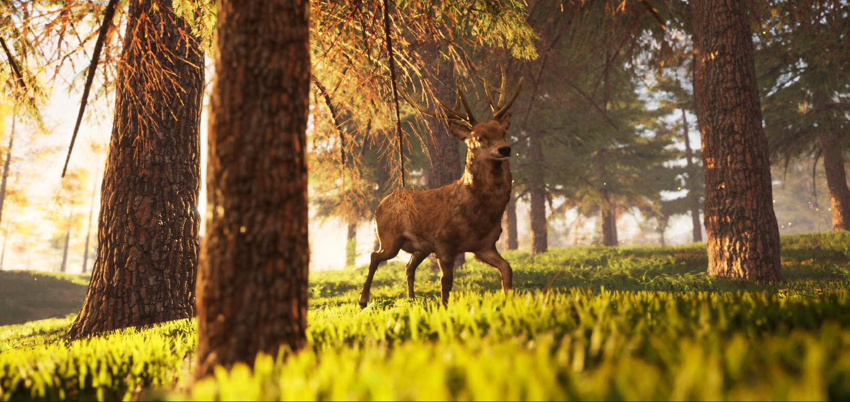 Bonk Battle Royale screenshot 4