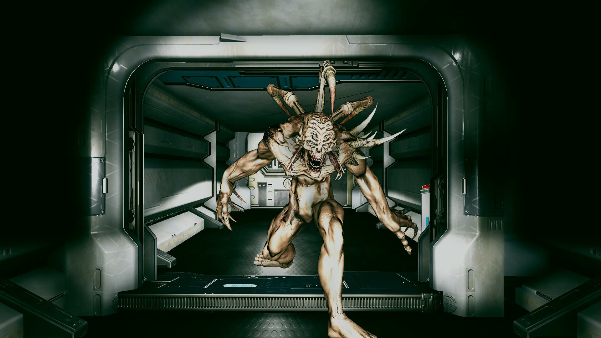 PREDATOR AND WRECK 捕食者と崩壊 screenshot 9