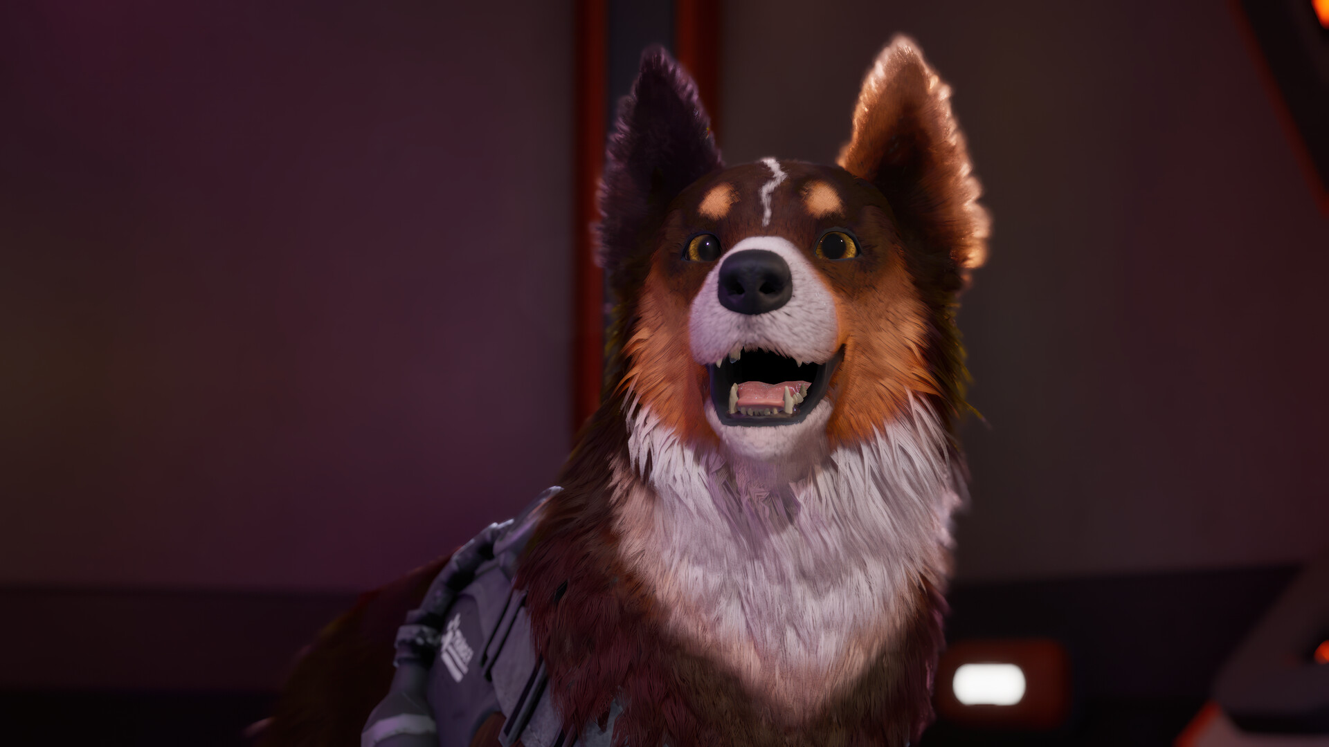 Barkour