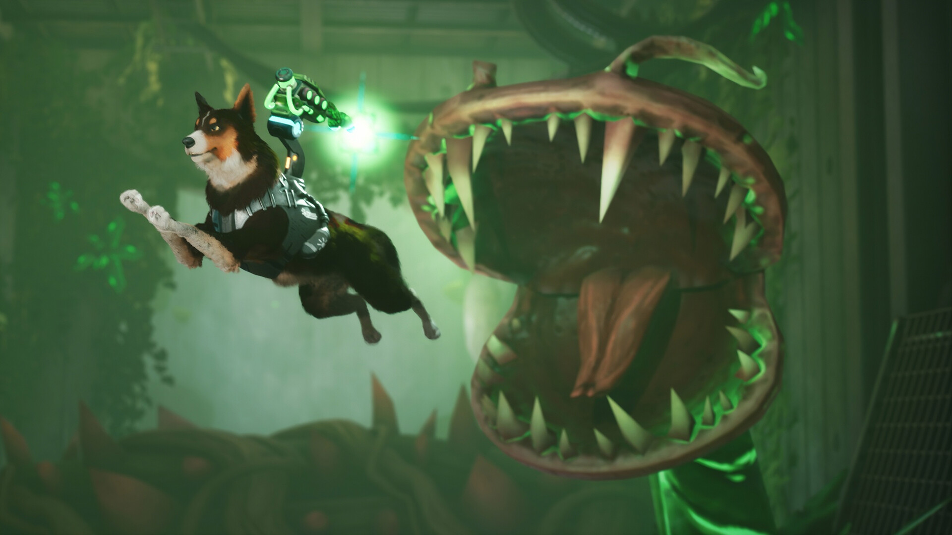 Barkour screenshot 3