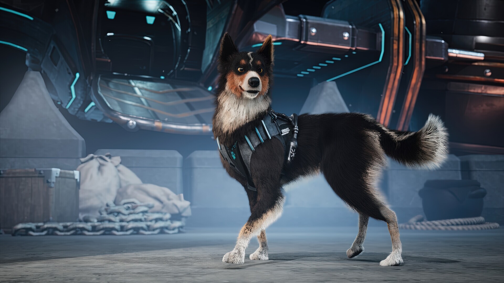 Barkour