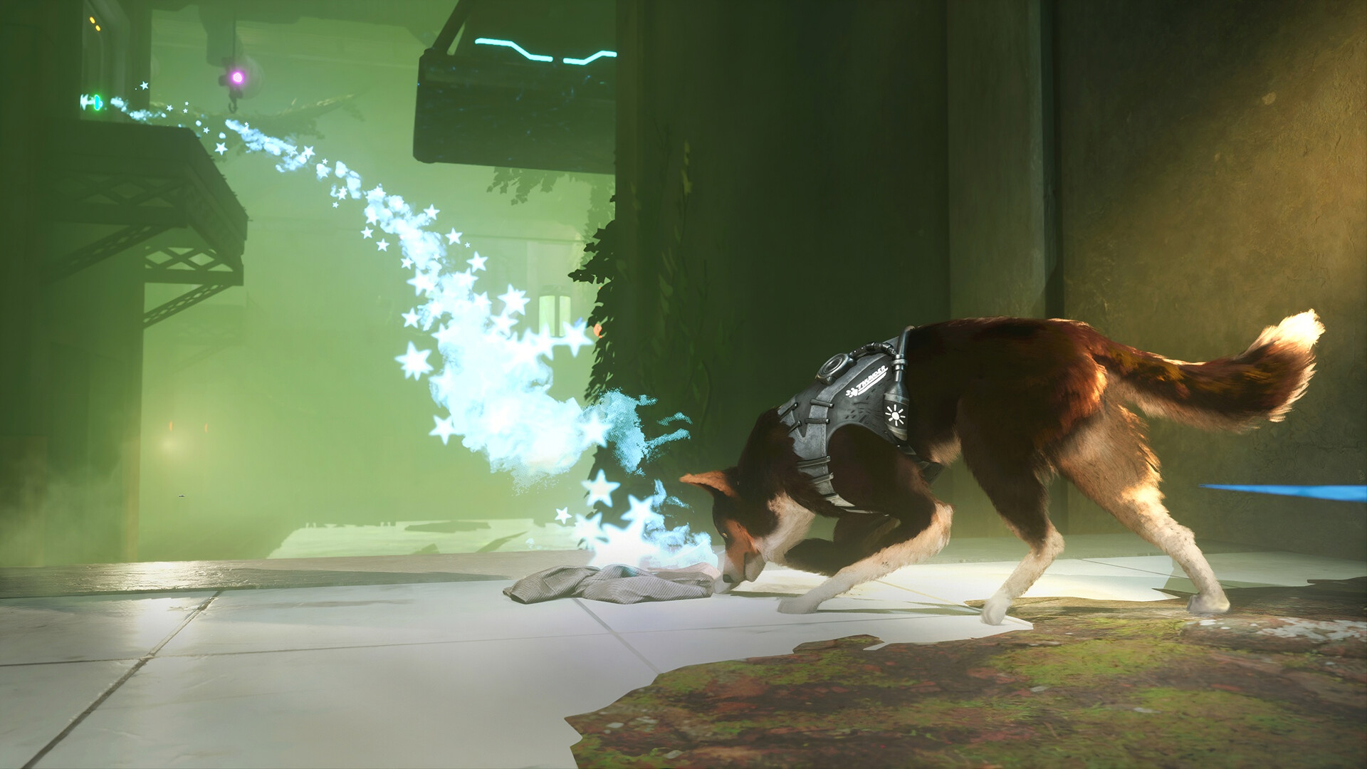 Barkour screenshot 9