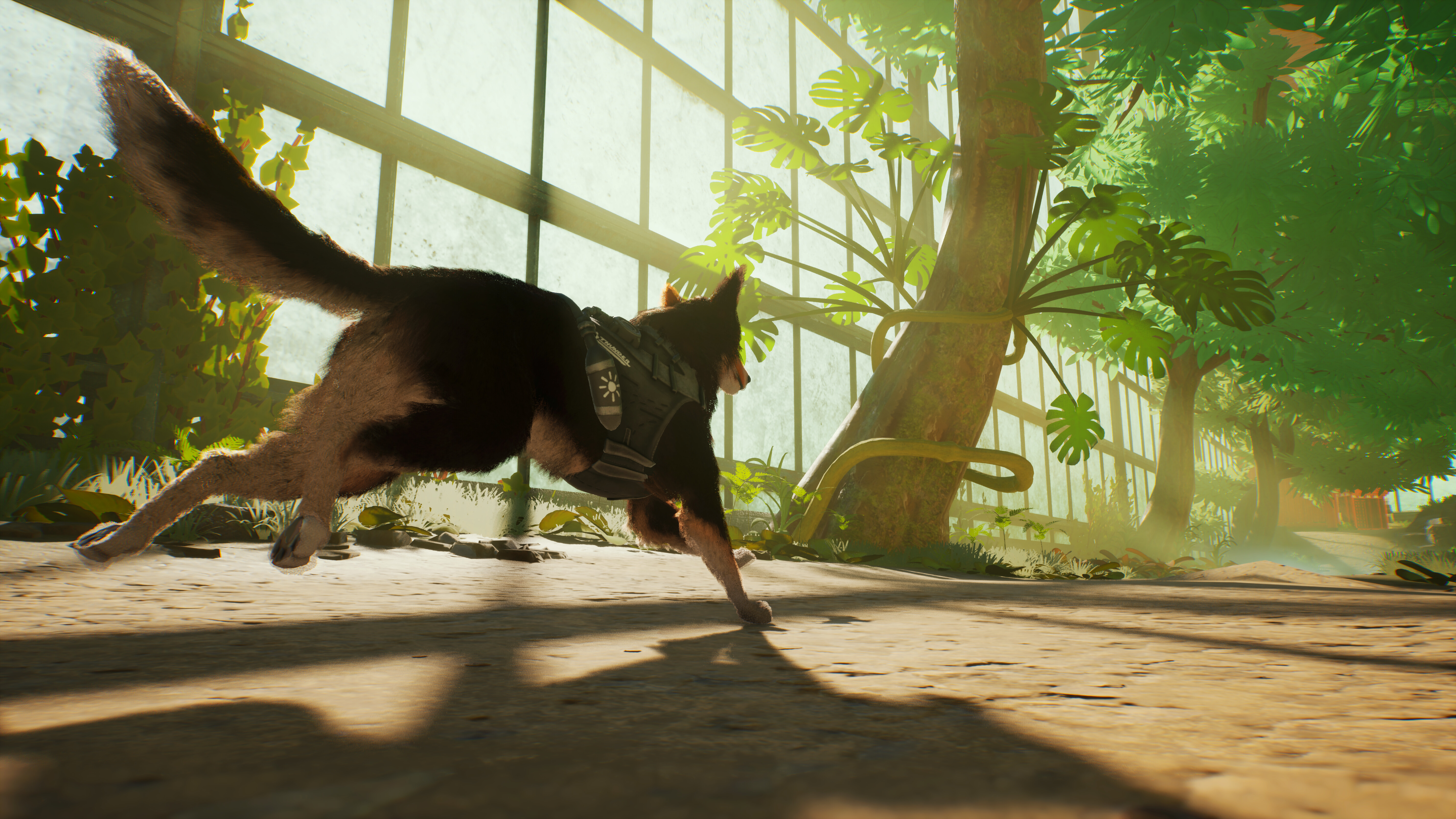 Barkour screenshot 6