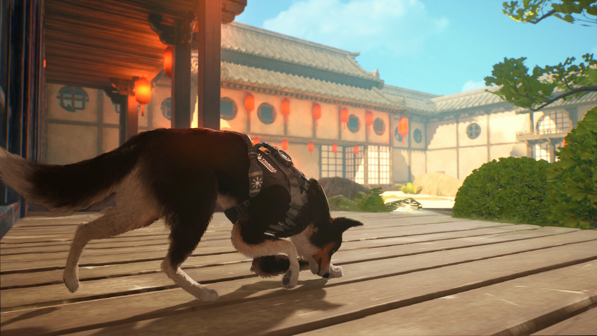 Barkour screenshot 2