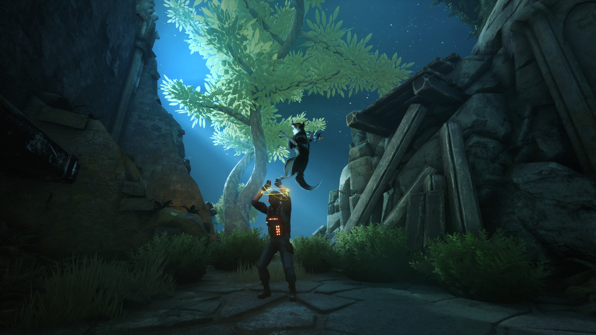 Barkour screenshot 10