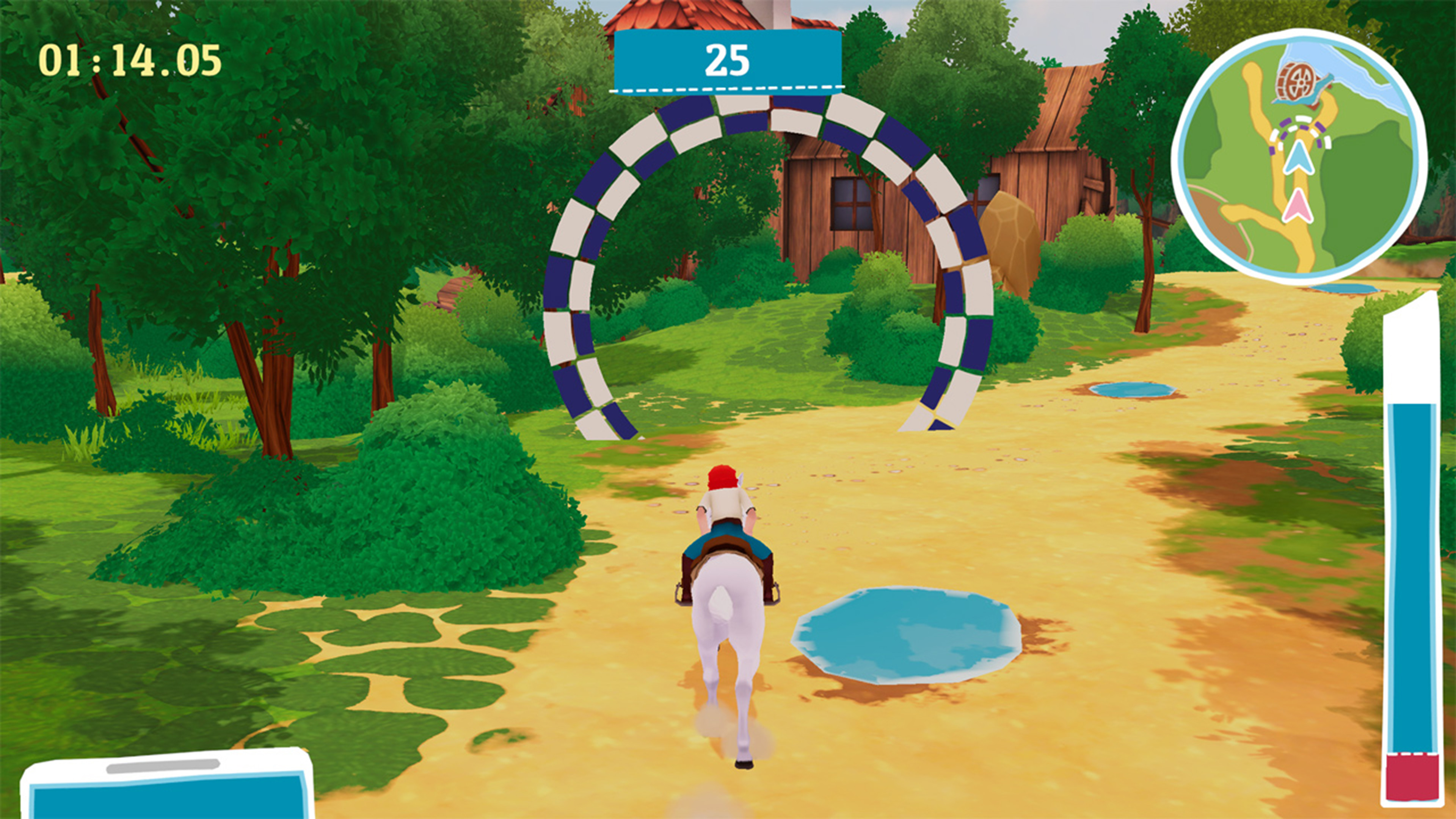 Bibi & Tina - New adventures with horses screenshot 7