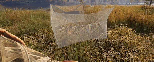theHunter: Call of the Wild - Revontuli Coast thumbnail